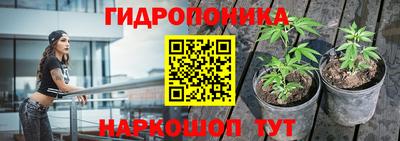 2c-b Будённовск