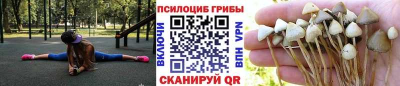 ссылка на мегу ONION  Гусев  Галлюциногенные грибы GOLDEN TEACHER 