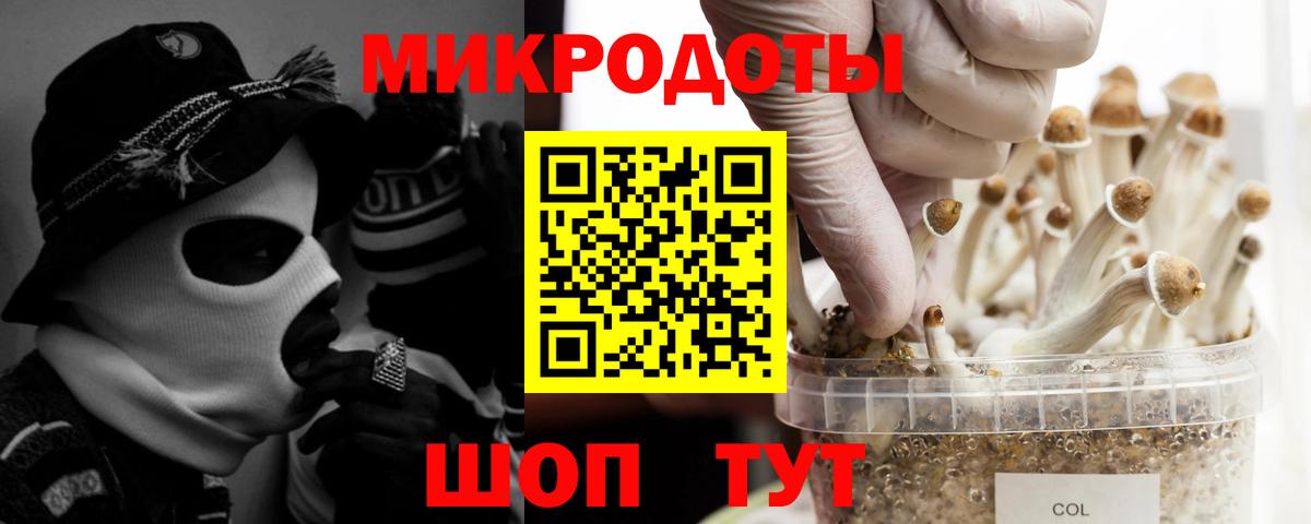 Галлюциногенные грибы ЛСД  Вход с VPN  Гусев 